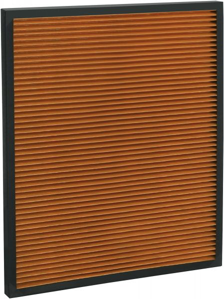 Antibakterieller PM2.5 Filter AP 100